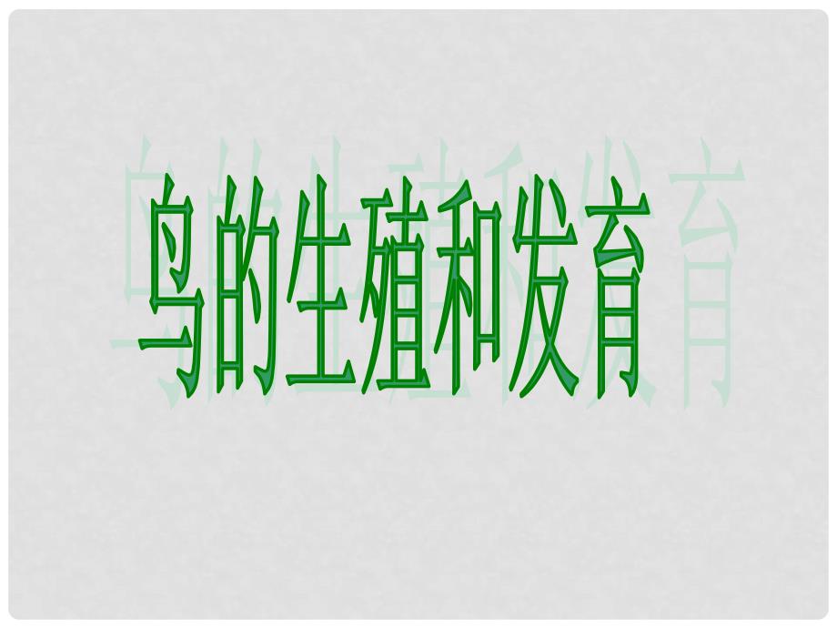 四川省崇州市白头中学八年级生物上册 鸟的生殖和发育课件 济南版_第1页