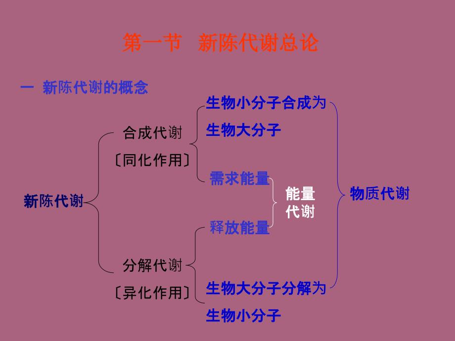 新陈代谢总论与生物氧化ppt课件_第2页