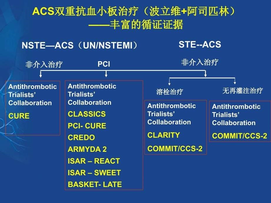 ACS患者抗血小板治疗_第5页