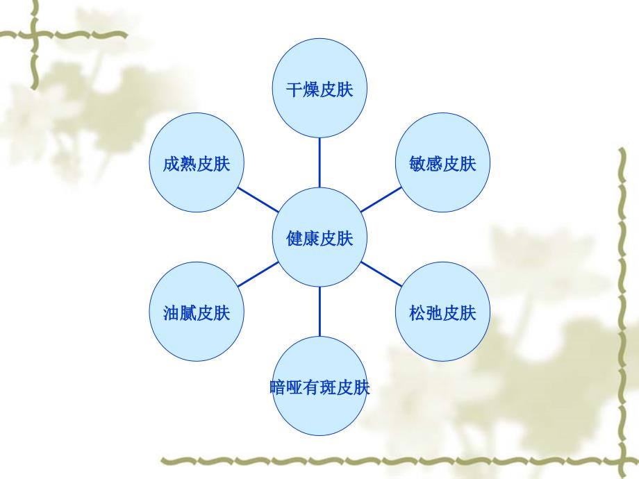 皮肤类型分析PPT课件_第2页