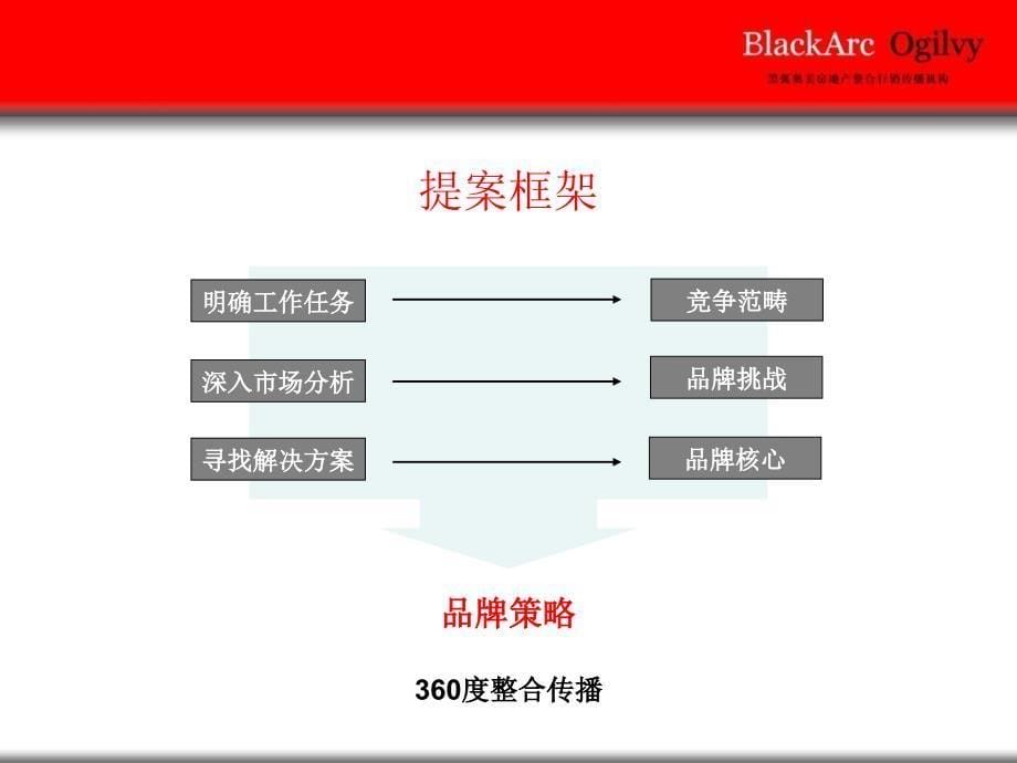 【黑弧奥美】泰州华侨城&#183;溱湖湿地项目整合营销策略提案_第5页