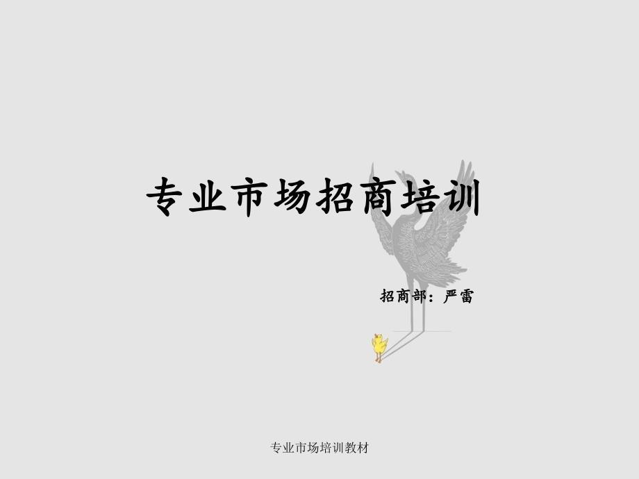 专业市场培训教材_第1页