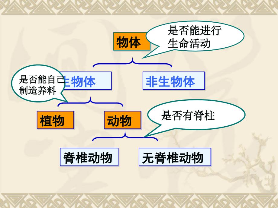 第3节动物的主要类群第1课时_第3页