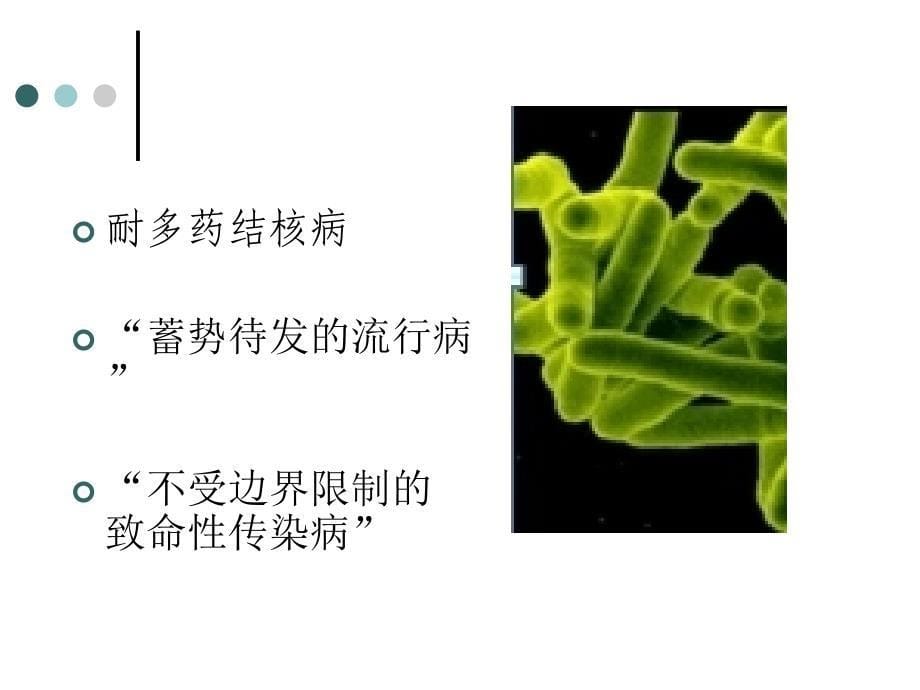 耐药结核病诊治与管理课件_第5页