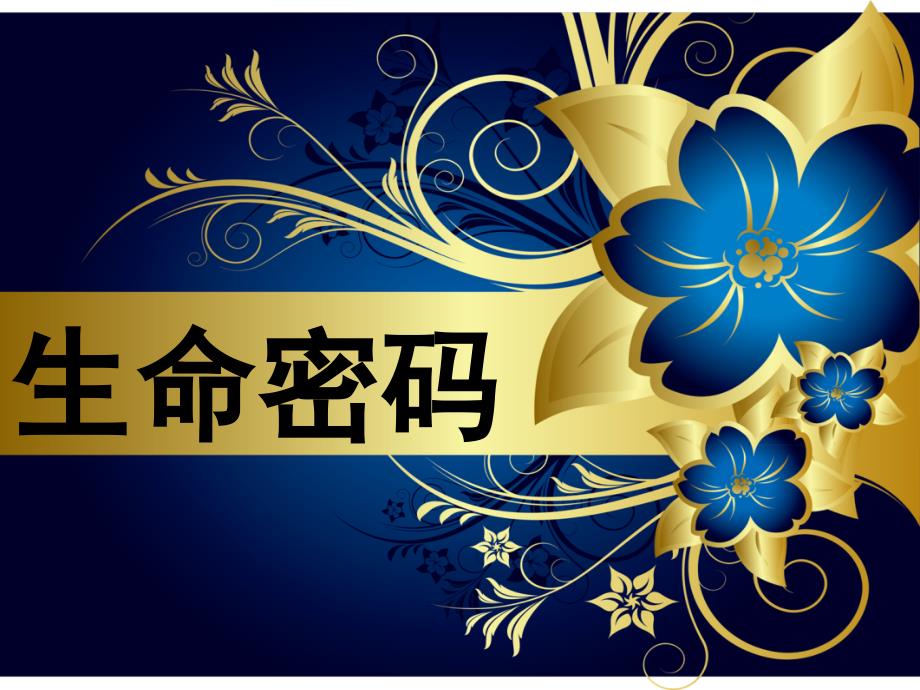 生命密码PPT课件_第1页