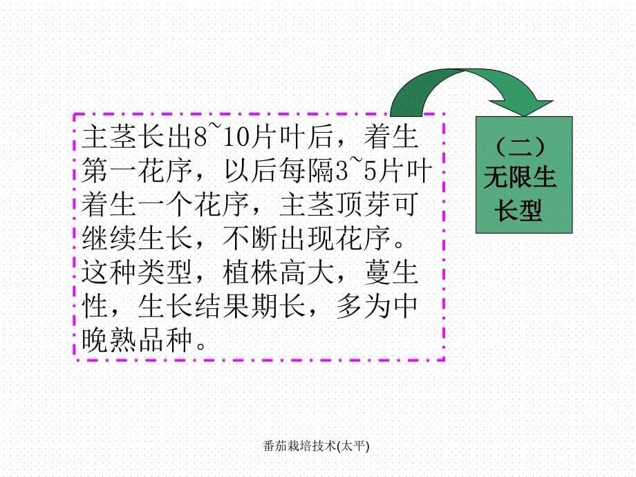 番茄栽培技术太平课件_第5页