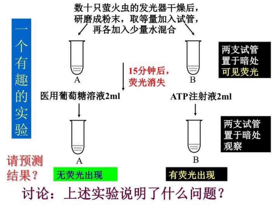 细胞的能量通货ATP说课讲解_第4页