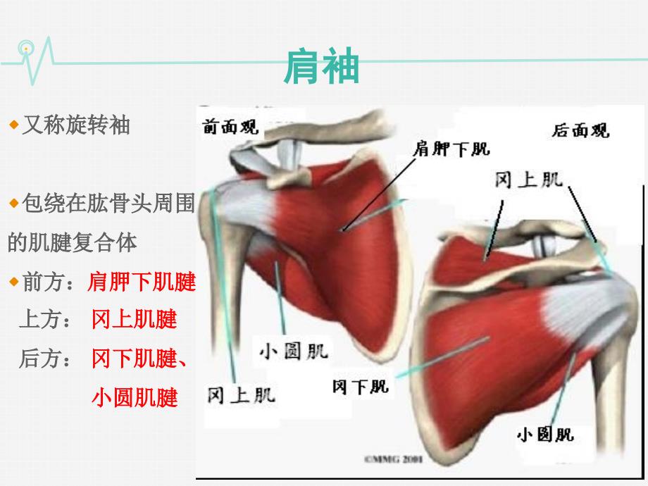 肩痛诊断与治疗_第4页