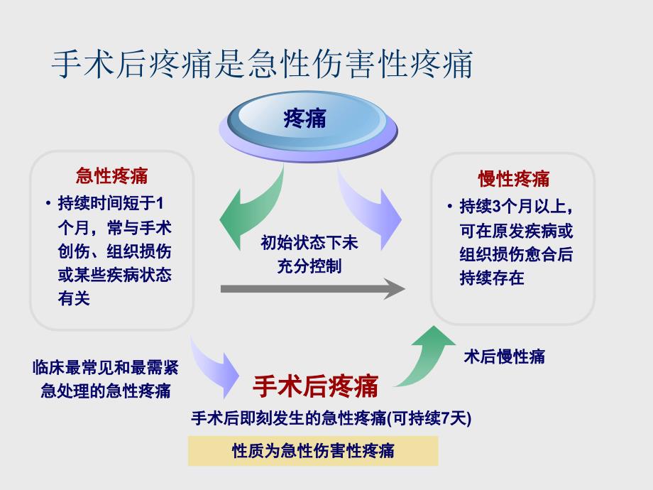 围术期疼痛管理专家共识课件_第4页