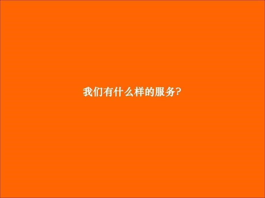 房地产网络营销策划方案基础认识及制定技巧_第5页