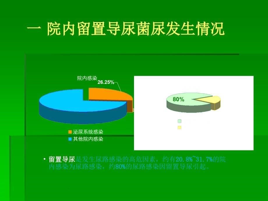 导尿管相关尿路感2_第5页