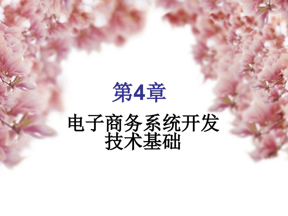 电子商务系统分析与设计.ppt_第1页