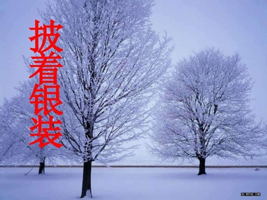 12看雪课件_第5页