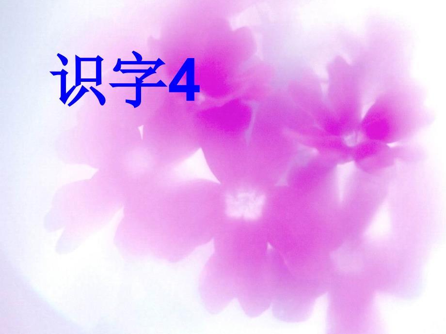 人教版一年级语文下册《识字4》课件PPT