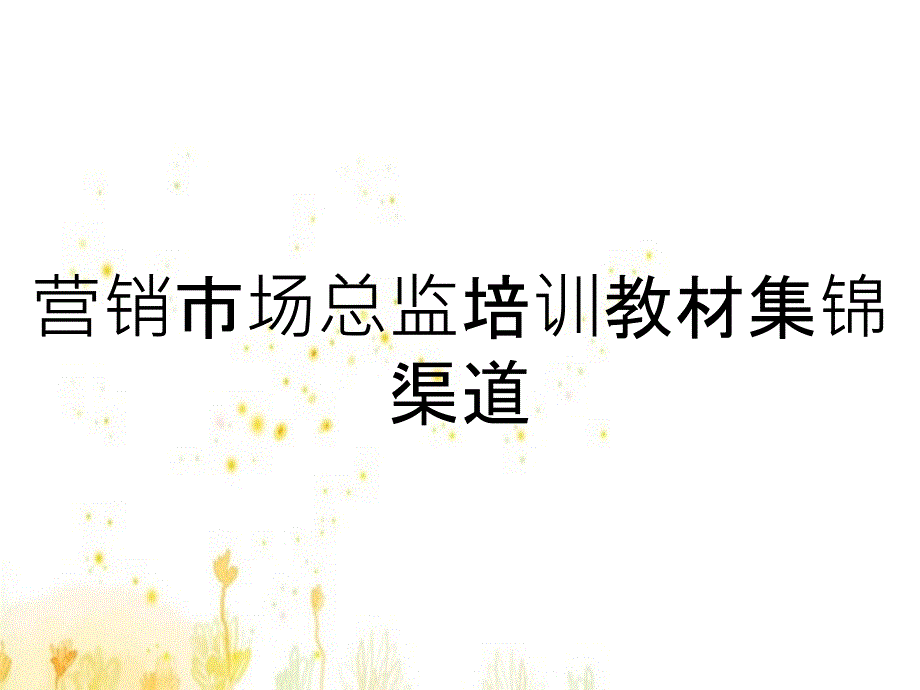 营销市场总监培训教材集锦渠道_第1页