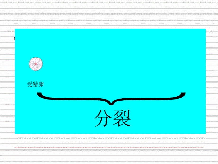 细胞分化形成组织教学参考课件_第1页