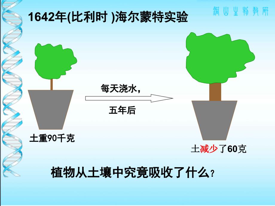 绿色植物的生长需要水和无机盐修改_第2页