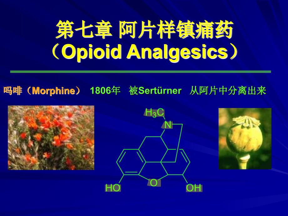 07章阿片样镇痛药OpioidAnalgesics_第1页