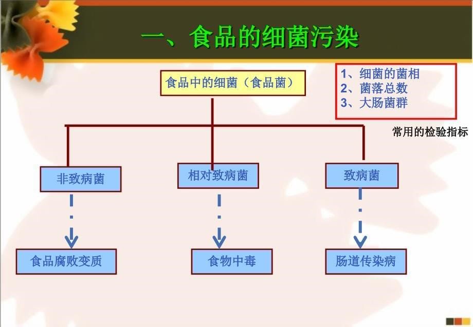 食品卫生公选知识探索_第5页