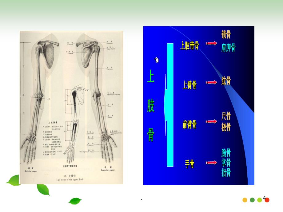 (医学课件)骨科护理基本知识ppt课件_第4页