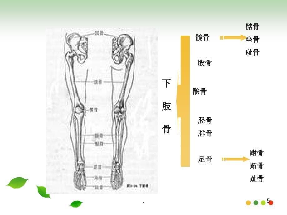 (医学课件)骨科护理基本知识ppt课件_第5页