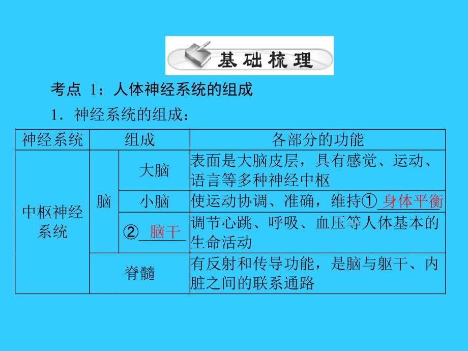 中考风向标中考生物基础复习第四章第四讲人体的生命活动调节课件_第3页