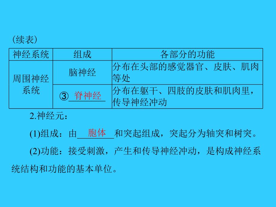 中考风向标中考生物基础复习第四章第四讲人体的生命活动调节课件_第4页