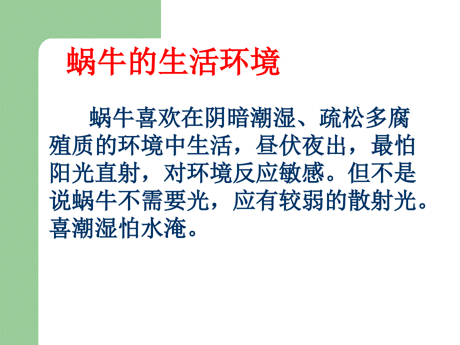 教科版三年级上册科学蜗牛2课件_第2页