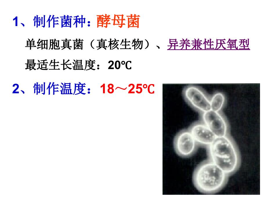 选修1专题1果酒果醋腐乳和泡菜的制作_第4页