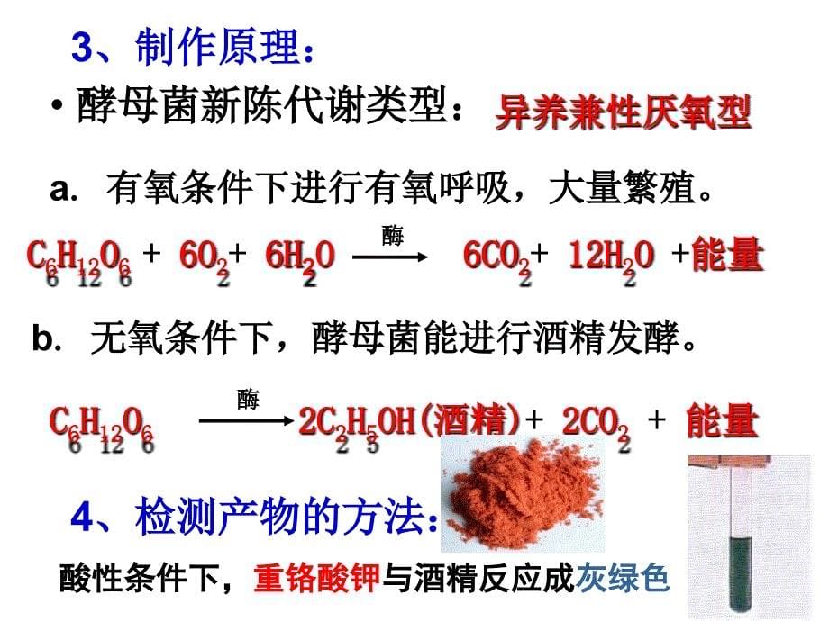 选修1专题1果酒果醋腐乳和泡菜的制作_第5页