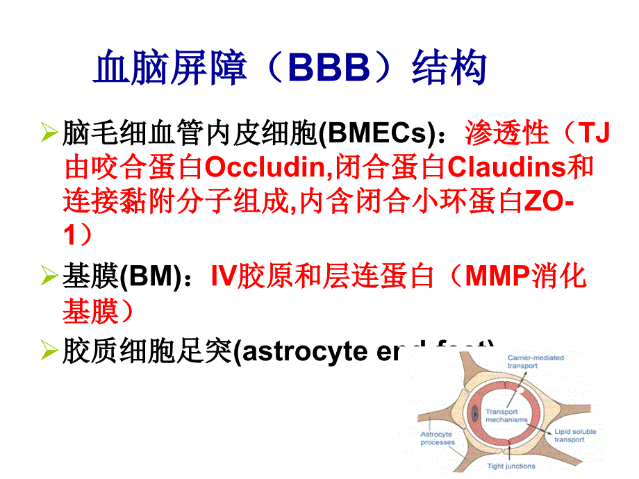 药物与脑屏障基础知识PPT课件_第3页