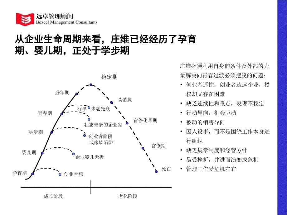 公司法人治理结构_第5页