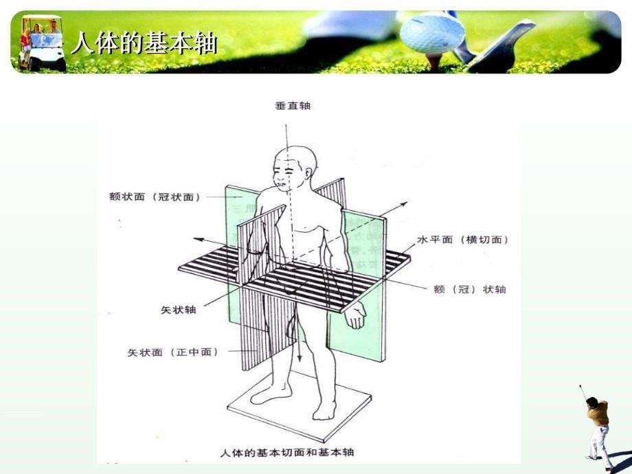 《近侧环节理》PPT课件_第5页