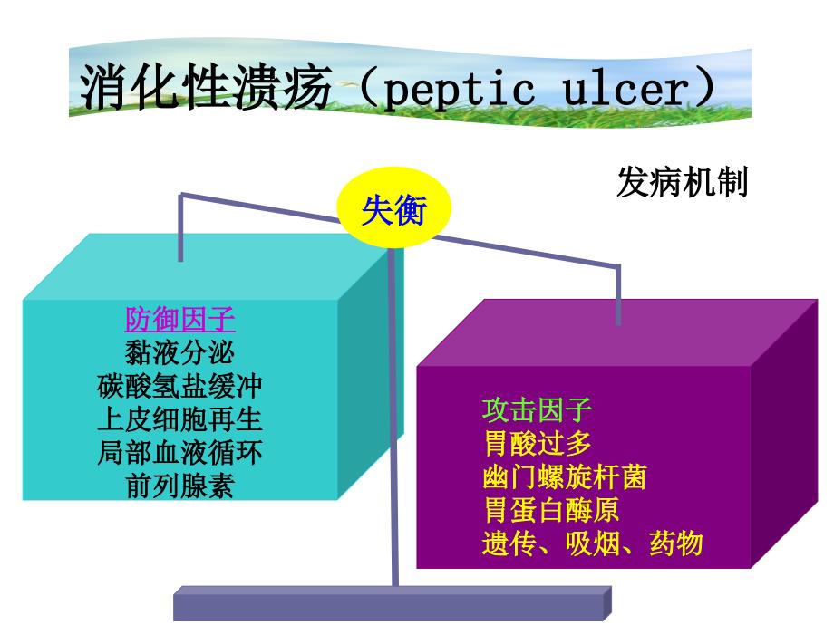 作用于消化系药物_第4页