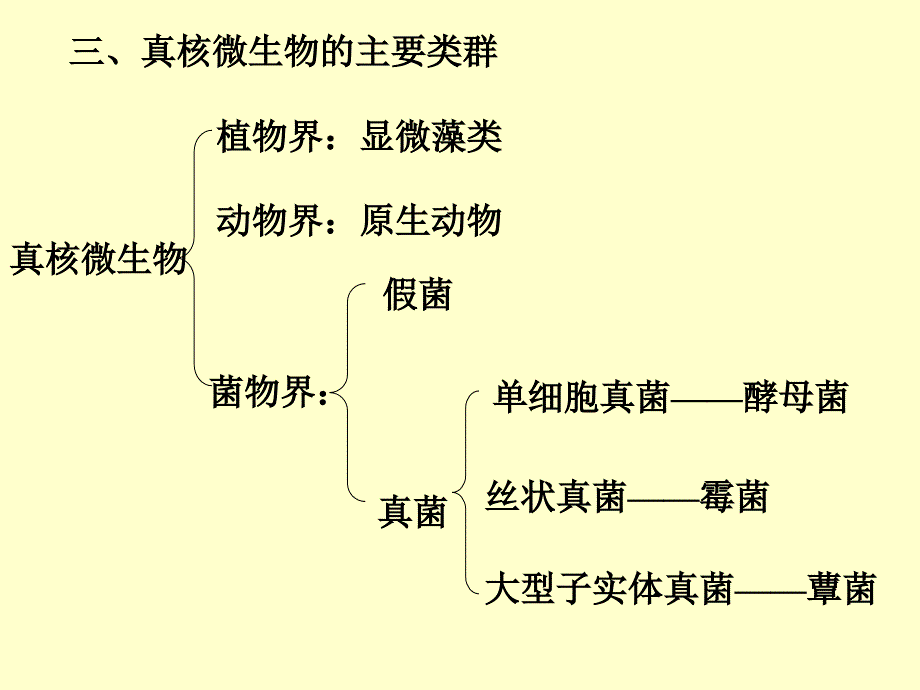 微生物学3真核_第4页