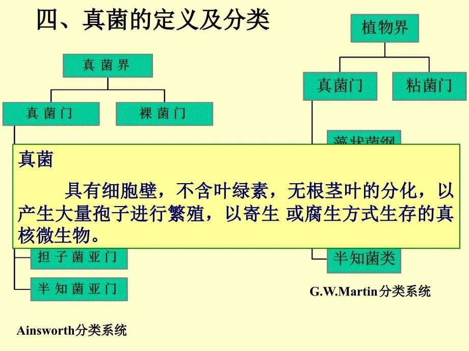 微生物学3真核_第5页