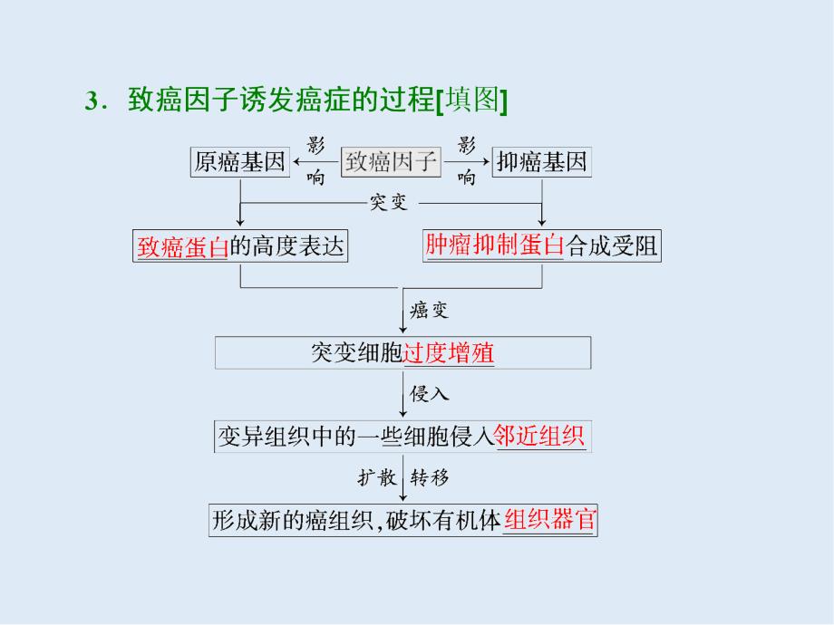 高中生物苏教版必修1课件：第五章 第三节 关注癌症_第3页