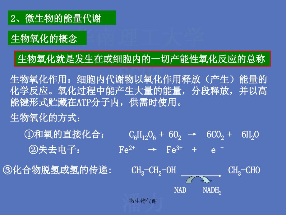 微生物代谢课件_第4页