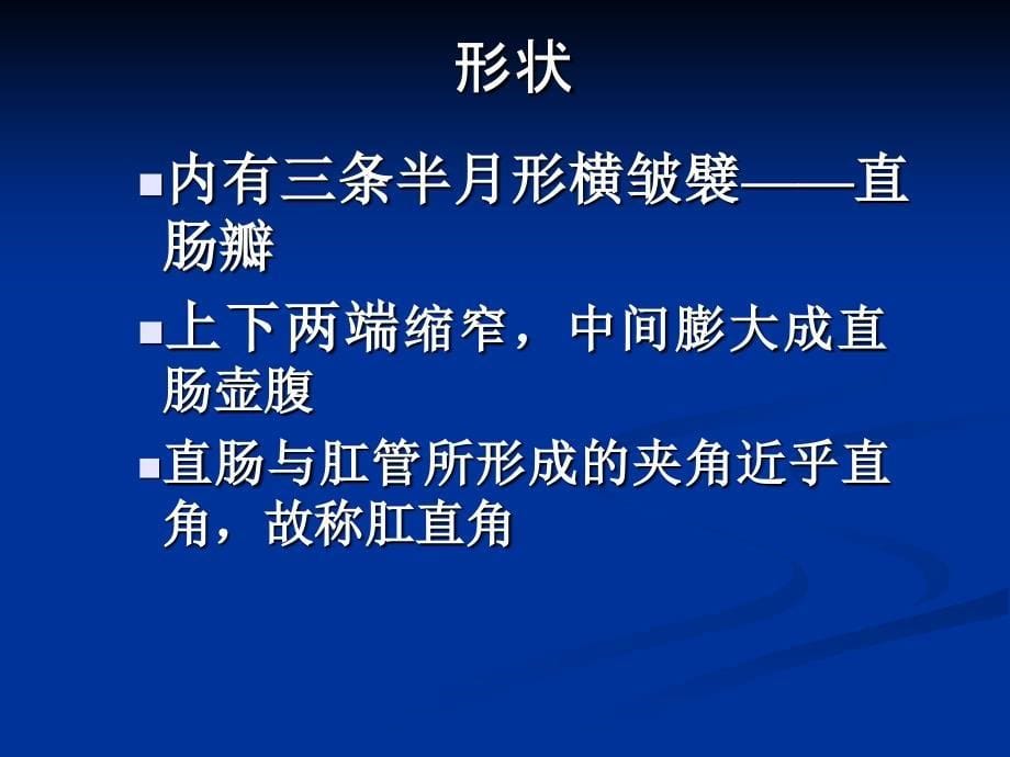 《肛门直肠疾病概论》PPT课件_第5页