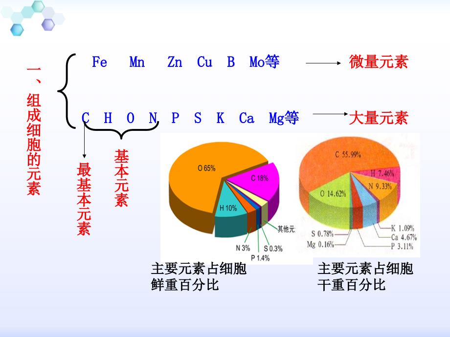 专题21细胞中的元素和化合物（课件）_第3页