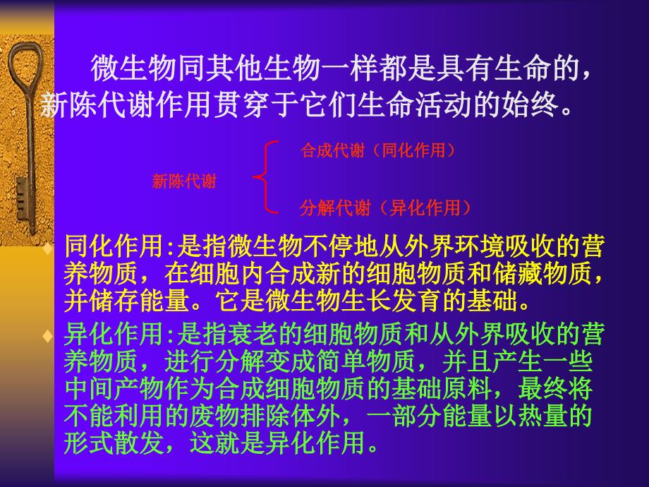 细菌的新陈代谢_第2页