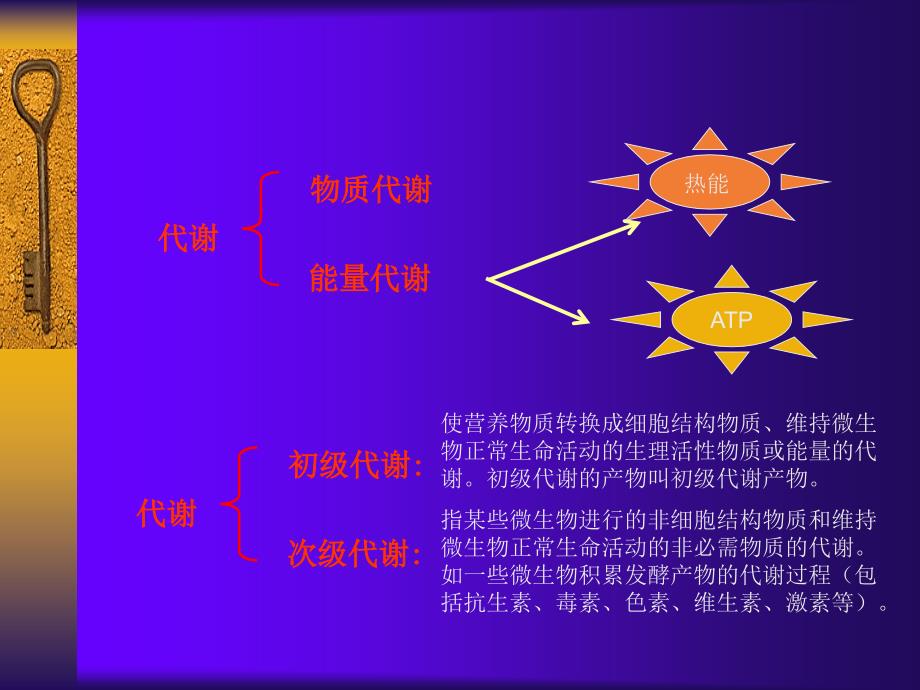 细菌的新陈代谢_第3页