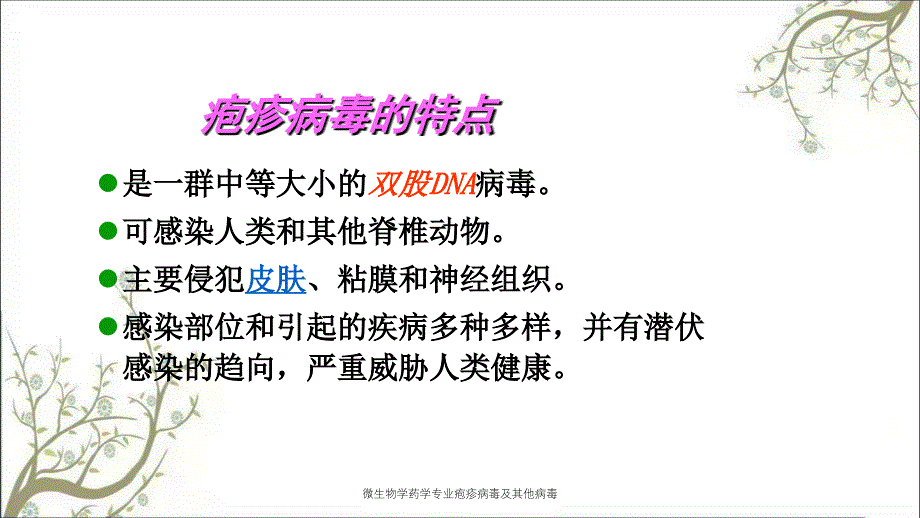 微生物学药学专业疱疹病毒及其他病毒_第2页