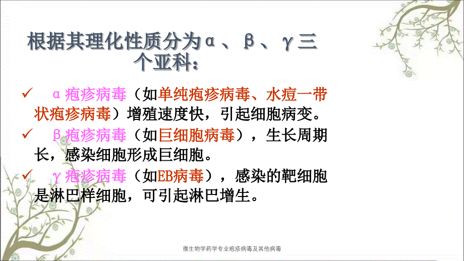 微生物学药学专业疱疹病毒及其他病毒_第3页