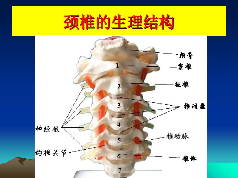 《颈椎手术的适应症》PPT课件_第3页