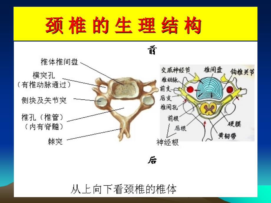 《颈椎手术的适应症》PPT课件_第4页