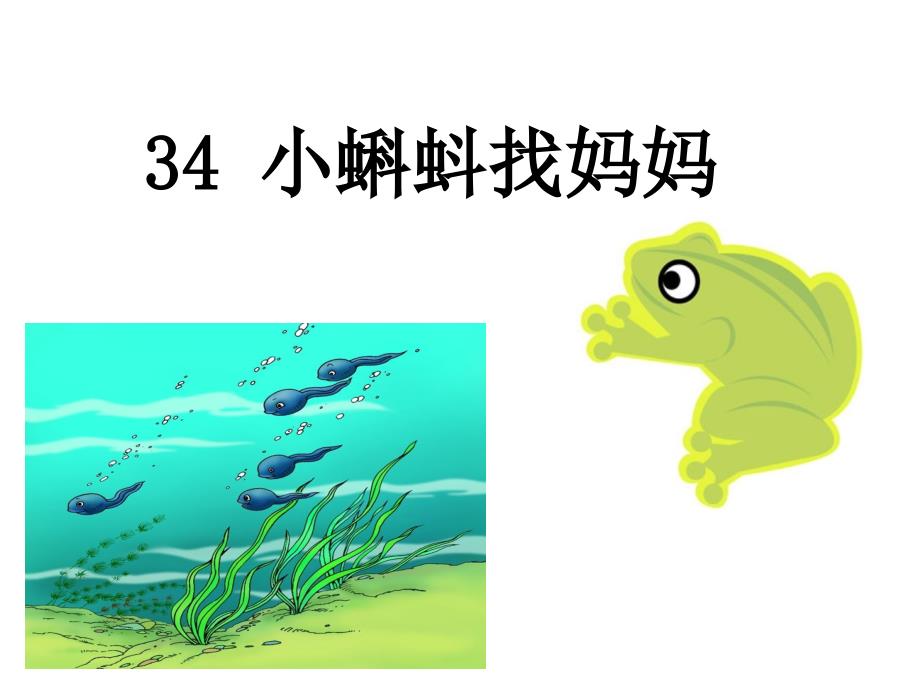 34小蝌蚪找妈妈课件.ppt_第2页