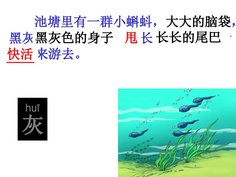 34小蝌蚪找妈妈课件.ppt_第4页