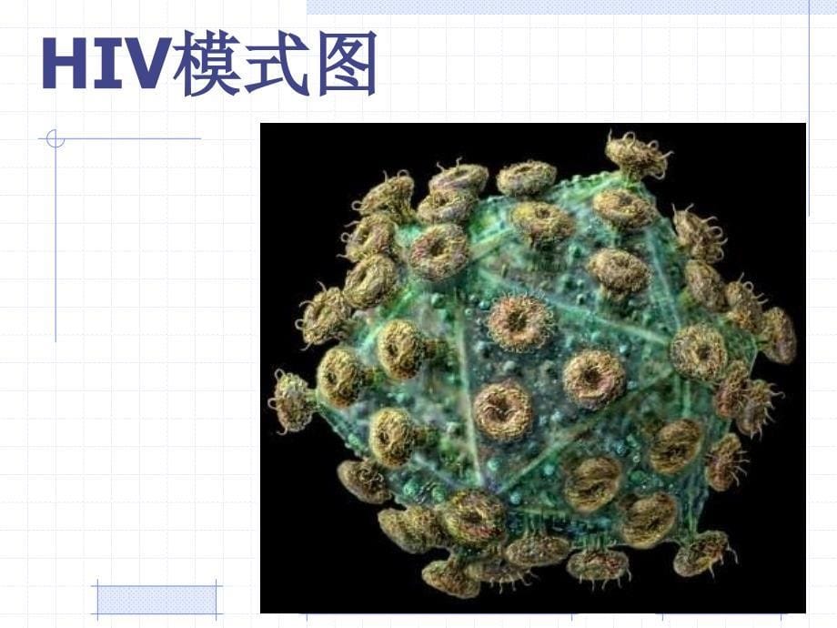 学校传染病讲座课件_第5页