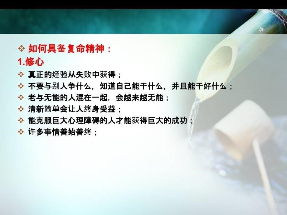 复命-打造已结果为导向的执行模式.ppt_第5页